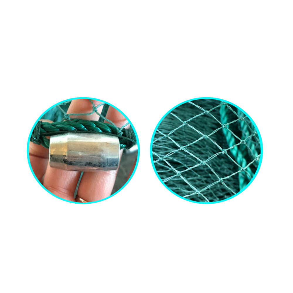 Ikan Toman Lampara Net