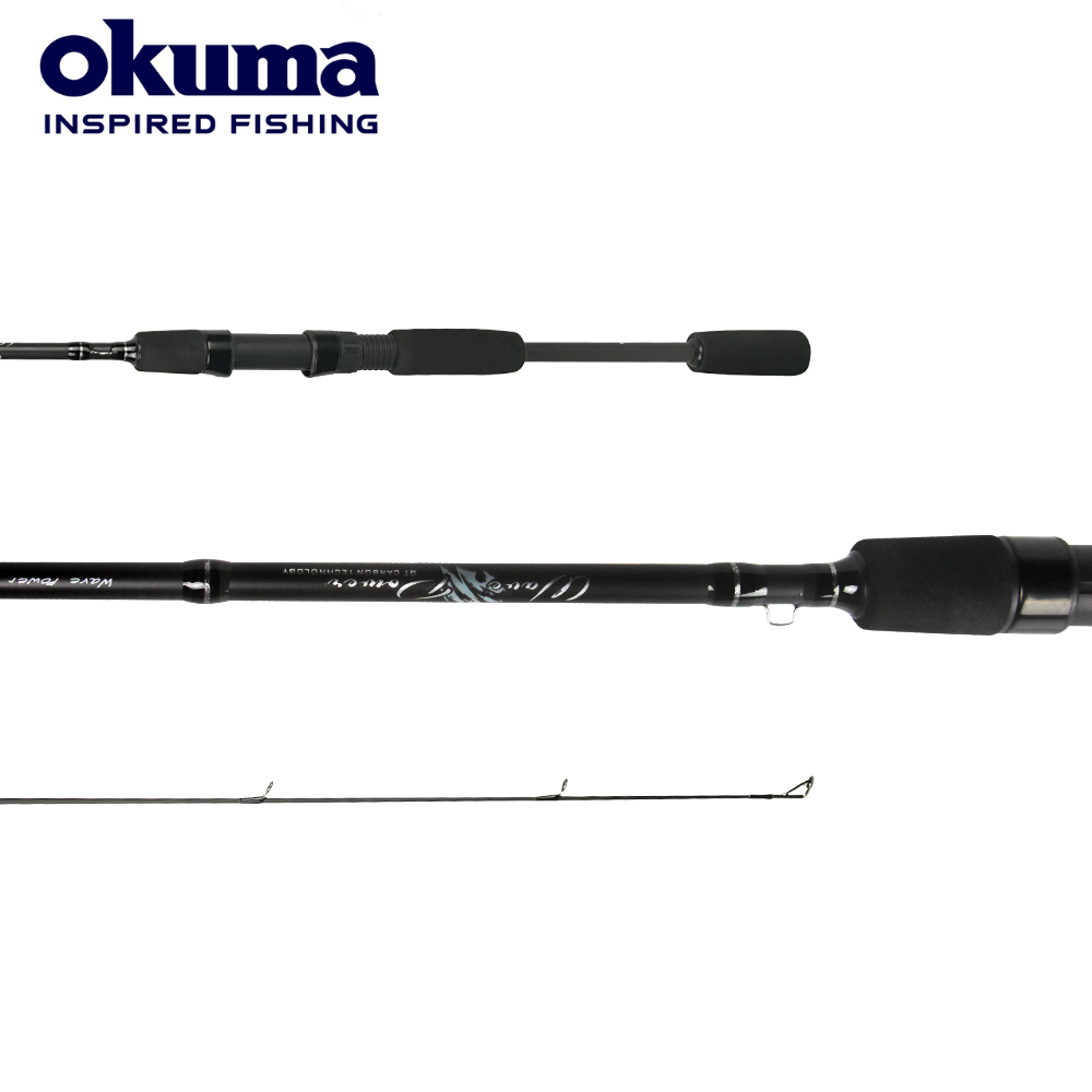 Okuma Wave Power